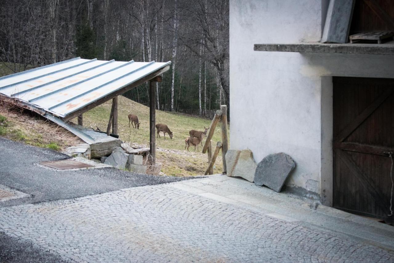 Apartmán Casa Vacanze Grand-Haury Da Andrea Arvier Exteriér fotografie